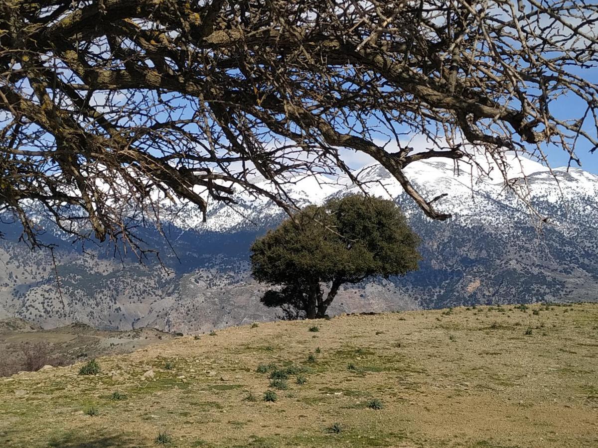 Il Silenzio Magarikari Exterior foto